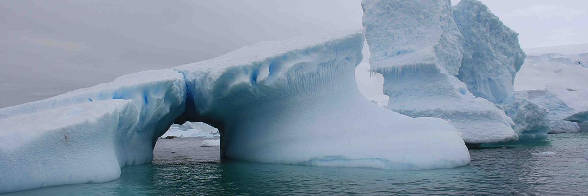 Expedición Antártida - Proyecto Homeward Bound