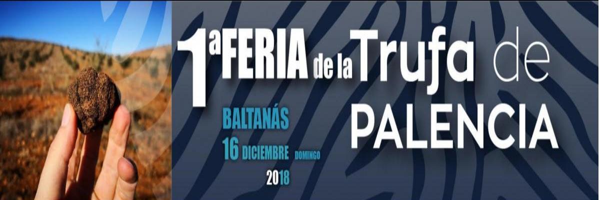 I Feria trufa de Palencia 2022