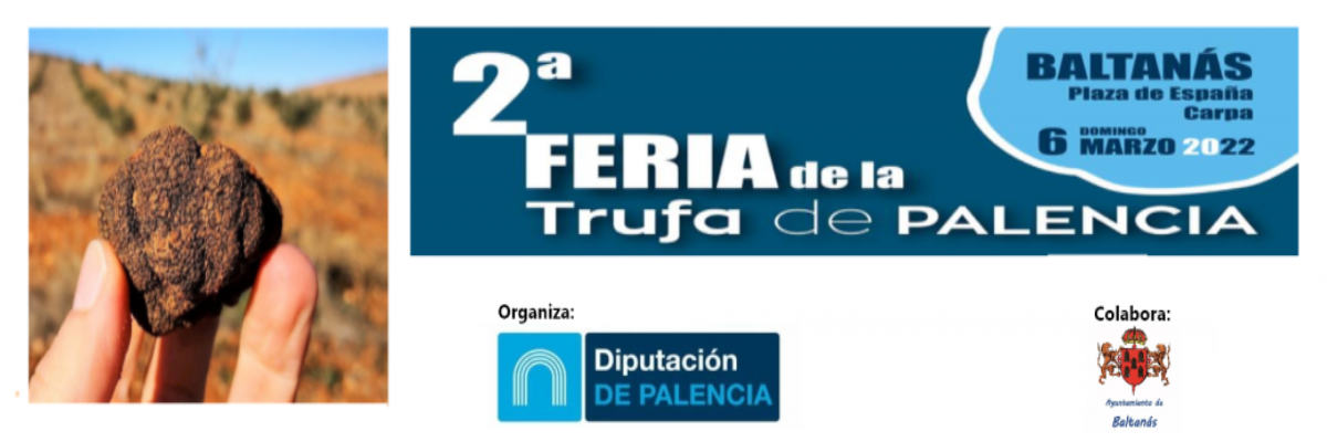 II Feria trufa de Palencia 2022