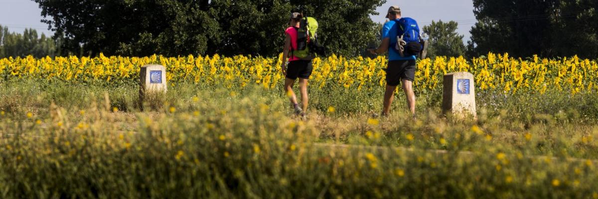 Hitos y peregrinos. Camino de Santiago