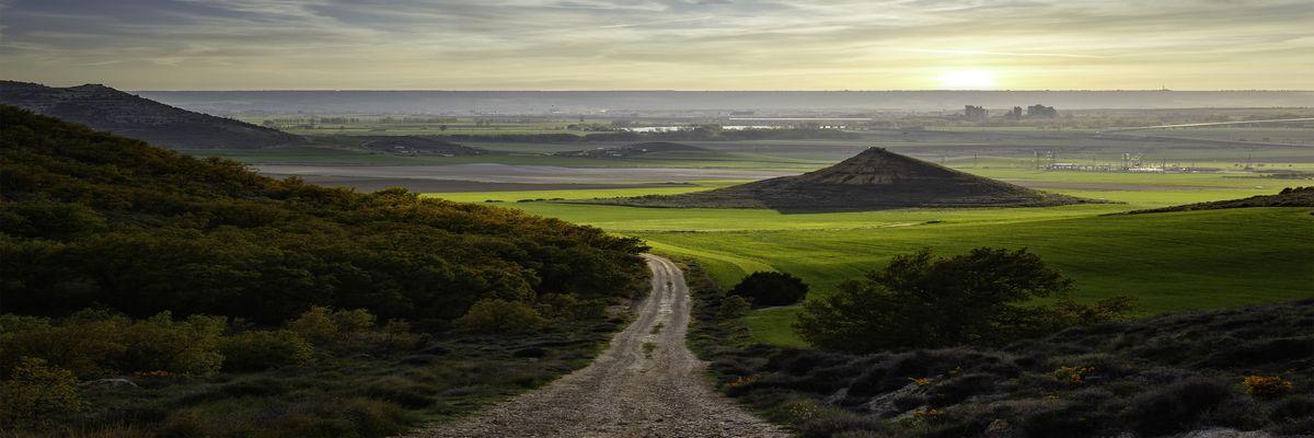 Superviviente. Lugar Soto del Cerrato. Autor Roberto Otero Martín.