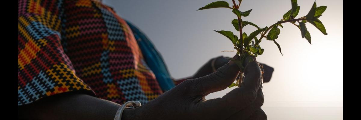 Dia mundial del MA 2024