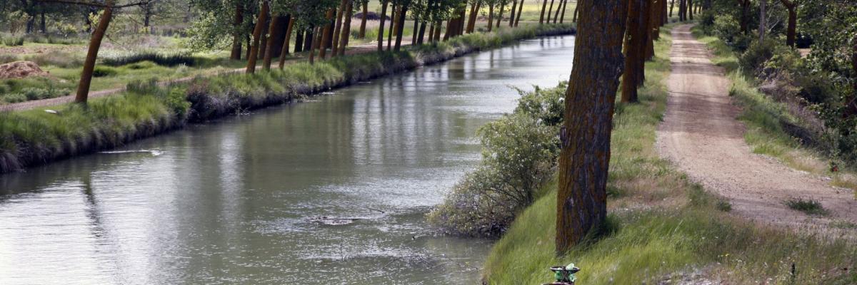 CANAL DE CASTILLA VILLAUMBRALES