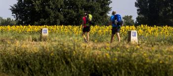 Hitos y peregrinos. Camino de Santiago