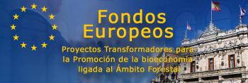 Fondos Europeos Promoción Bioeconomía Ámbito Forestal