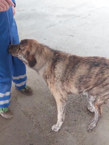E-44P (28-02-2022) Cervera de Pisuerga