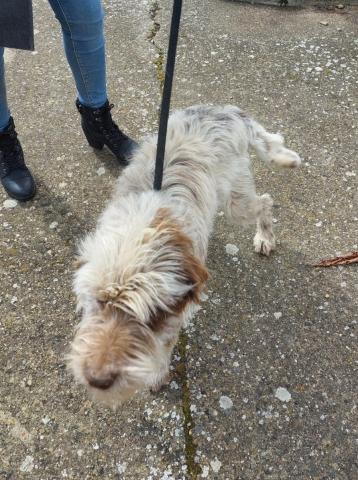 E-47P (04-03-2022) Osorno