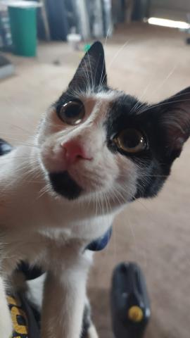 E-49P (17-03-2022) Carrión de los Condes - 2