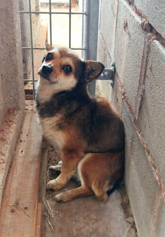 E-52P (29-03-2022) Paredes de Nava.jpg