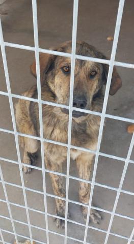 E-55P (07-04-2022) Aguilar de Campoo.jpg