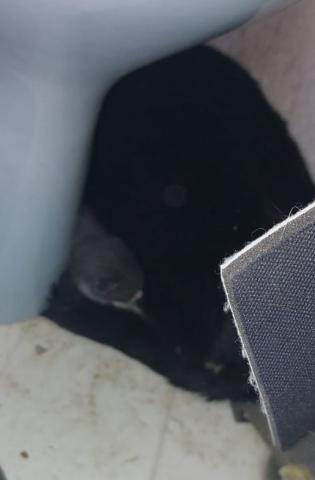 E-56P (07-04-2022) Aguilar de Campoo - 2