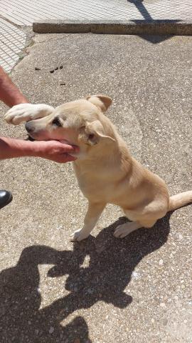 E-59P (09-05-2022) Paredes de Nava