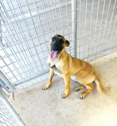 E-60P (03-06-2022) Sotobañado y Priorato-1