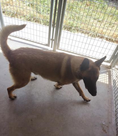 E-60P (03-06-2022) Sotobañado y Priorato-2