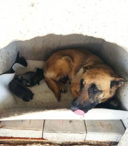 E-60P (03-06-2022) Sotobañado y Priorato-3