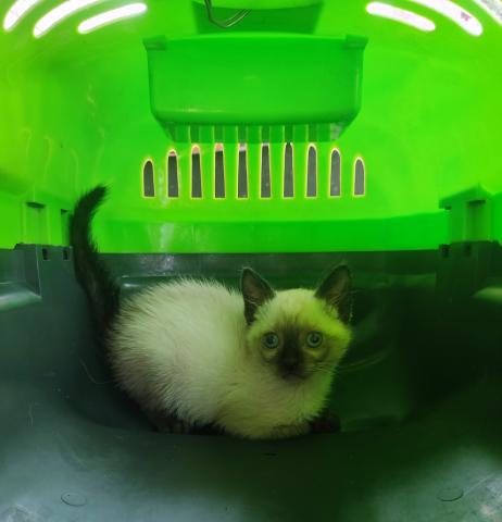 E-65P (22-06-2022) Paredes de Nava