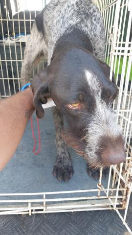 E-73P (15-07-2022) Osorno