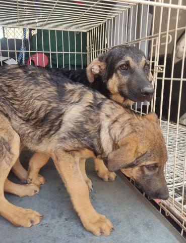 E-75P (22-07-2022) Villacidaler