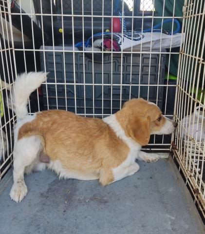 E-76P (25-07-2022) Paredes de Nava