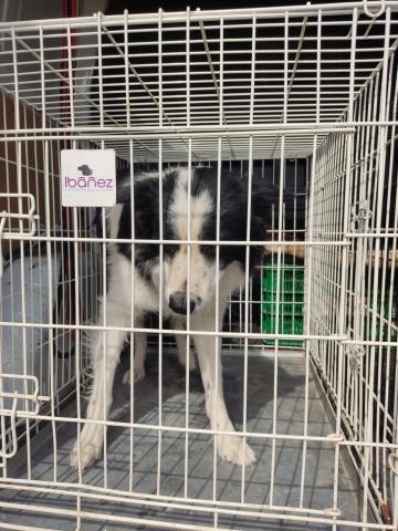 E-79P (03-08-2022) Fuentes de Valdepero