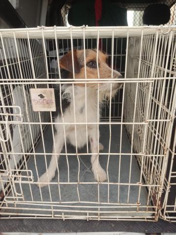 E-81P (10-08-2022) Villalcon