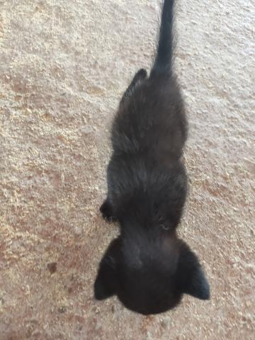 E-82P-1 (10-08-2022) Paredes de Nava