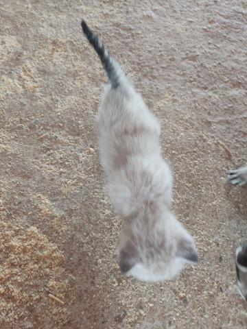 E-82P-2 (10-08-2022) Paredes de Nava