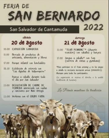 FERIA DE SAN BERNARDO 2022