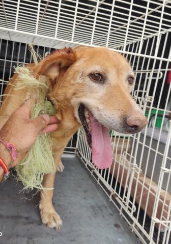 E-1 (12-09-2022) Villalcon