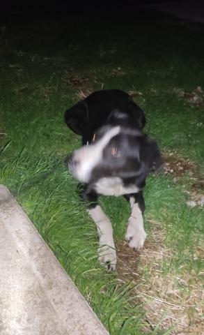 E-15 (22-11-2022) Villanueva del Rebollar