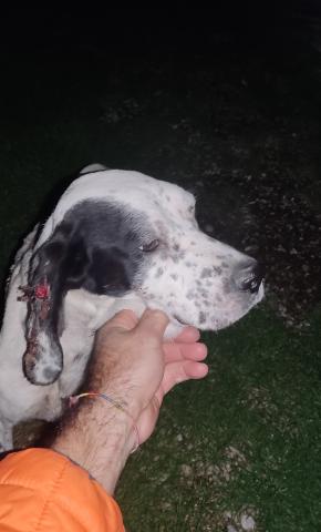 E-16 (22-11-2022) Osorno