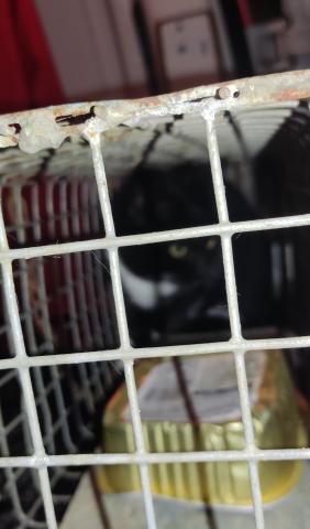 E-19-2 (28-11-2022) Astudillo