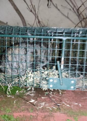 E-19-5 (28-11-2022) Astudillo