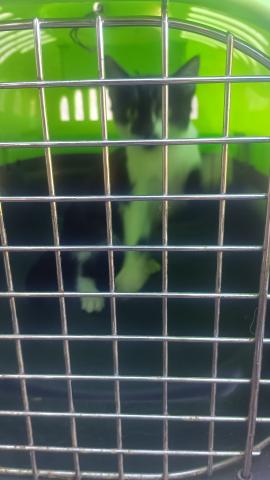 E-21 (01-12-2022) Villalaco