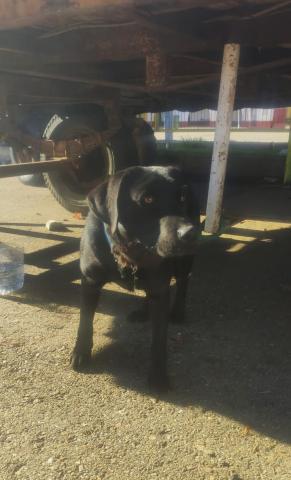 E-23-1 (01-12-2022) Herrera de Pisuerga