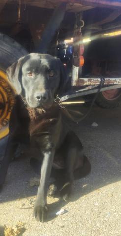 E-23-2 (01-12-2022) Herrera de Pisuerga