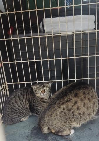 E-27 (03-12-2022) Villalaco