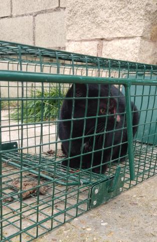 E-29 (05-12-2022) Astudillo