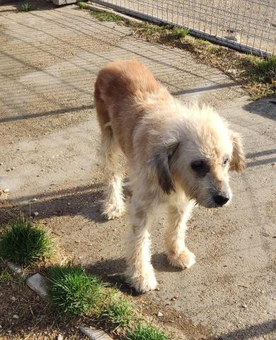 E-3 (22-10-2022) Ribas de Campos