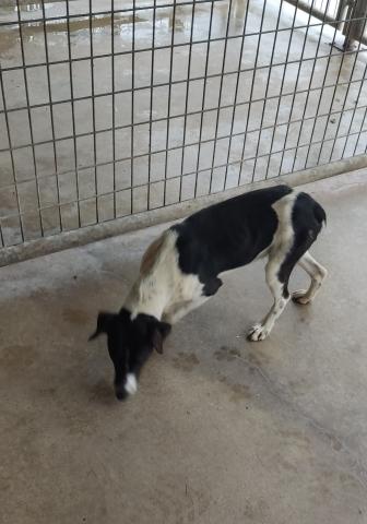 E-30 (05-12-2022) Paredes de Nava