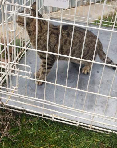 E-34-2 (10-12-2022) Villalaco