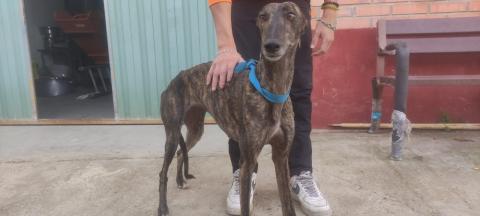 E-5-1 (02-11-2022) Monzon de Campos