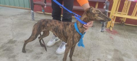 E-5-2 (02-11-2022) Monzon de Campos