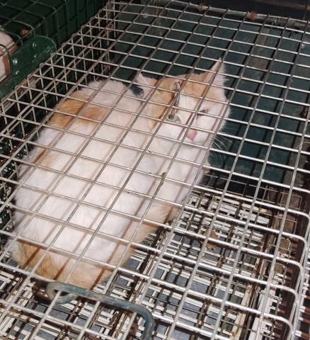 E-7-1 (10-11-2022) Astudillo