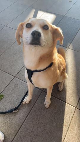 E-83P-2 (18-08-2022) Naveros de Pisuerga