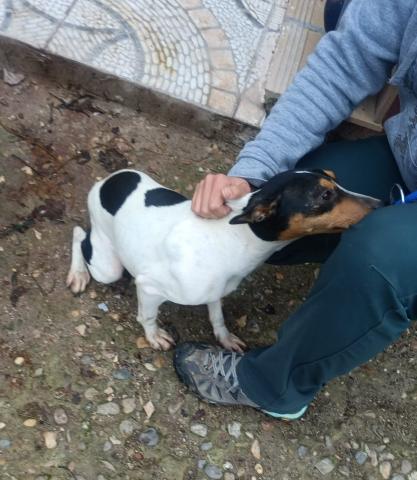 E-40 (30-12-2022) Vertavillo