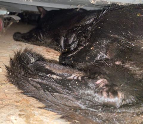 E-122-2 (02-08-2023) Carrión de los Condes