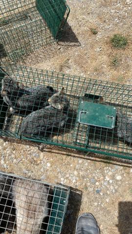 E-123-2 (03-08-2023) Villodrigo