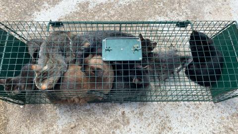 E-123-3 (03-08-2023) Villodrigo