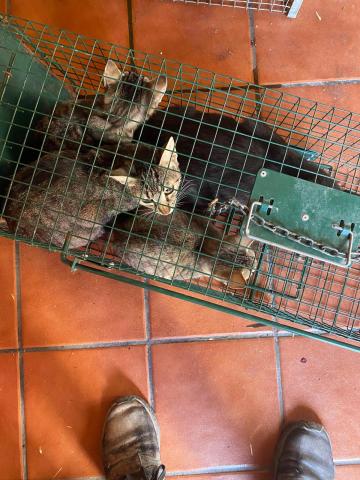 E-124-3 (03-08-2023) Villodrigo